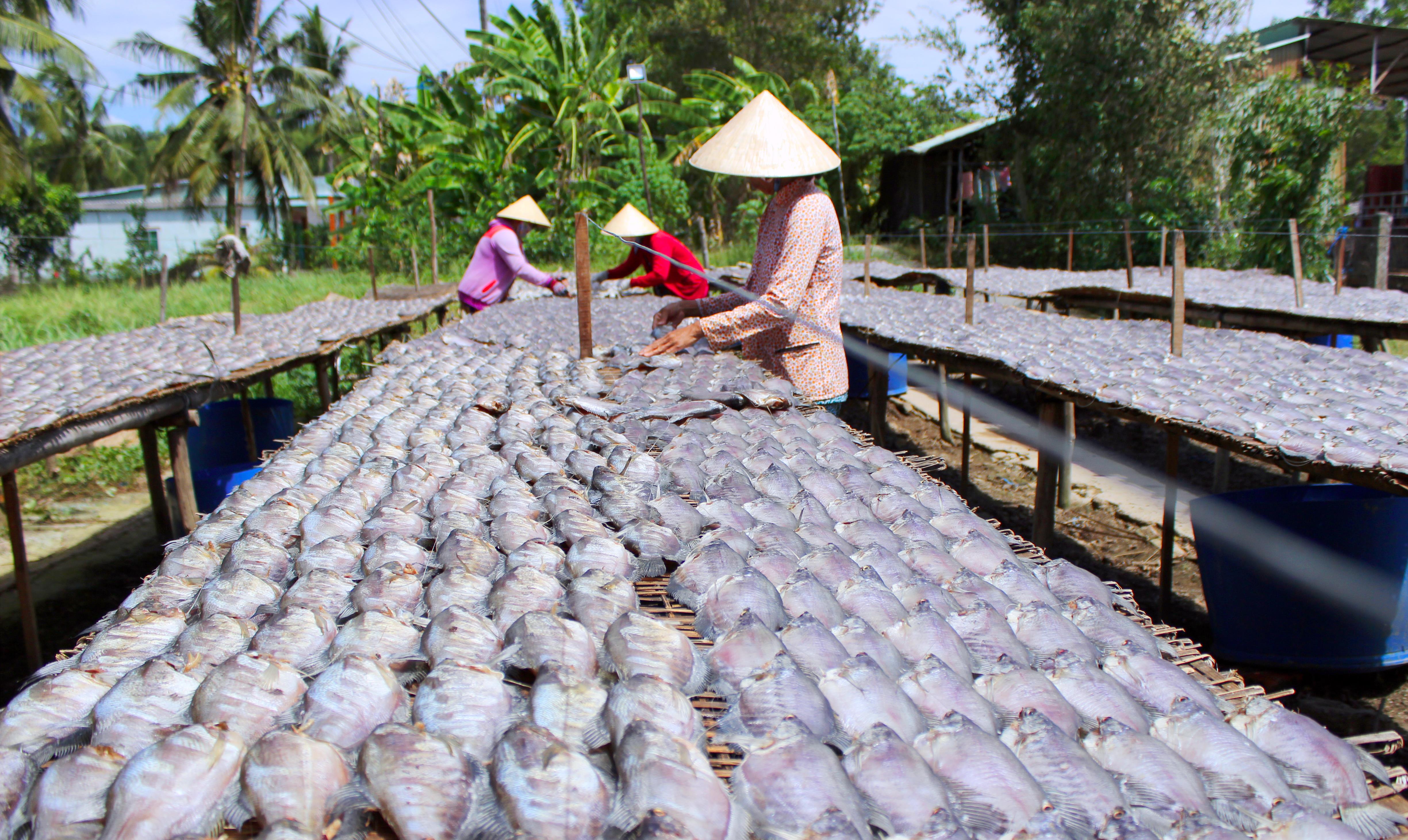 Biện pháp giúp đồng bào Khmer thoát nghèo bền vững

